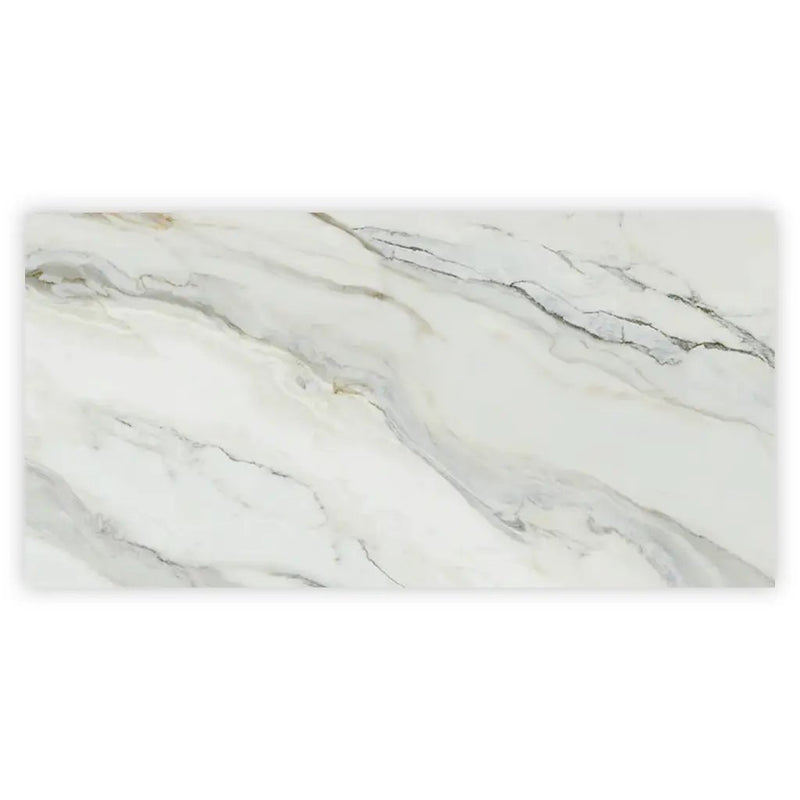 White with Gray Vein 24x48 Polished Porcelain Large Format Tile (2 pack, 15.42 sq ft/case) by Apollo Tile