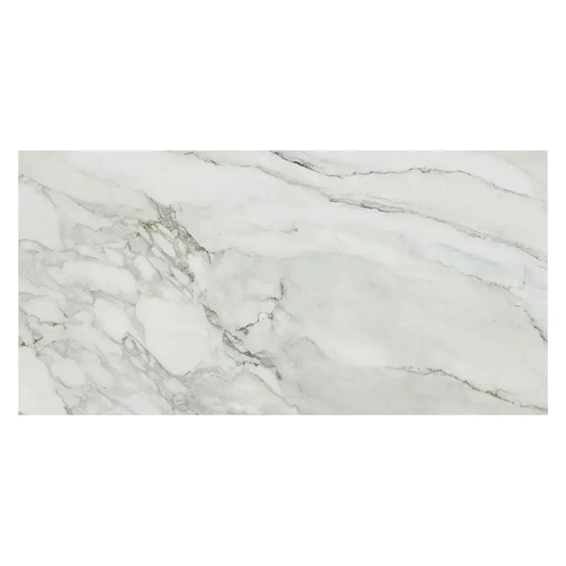 White with Gray Vein 24x48 Matte Porcelain Large Format Tile (2 pack, 15.42 sq ft/case) by Apollo Tile