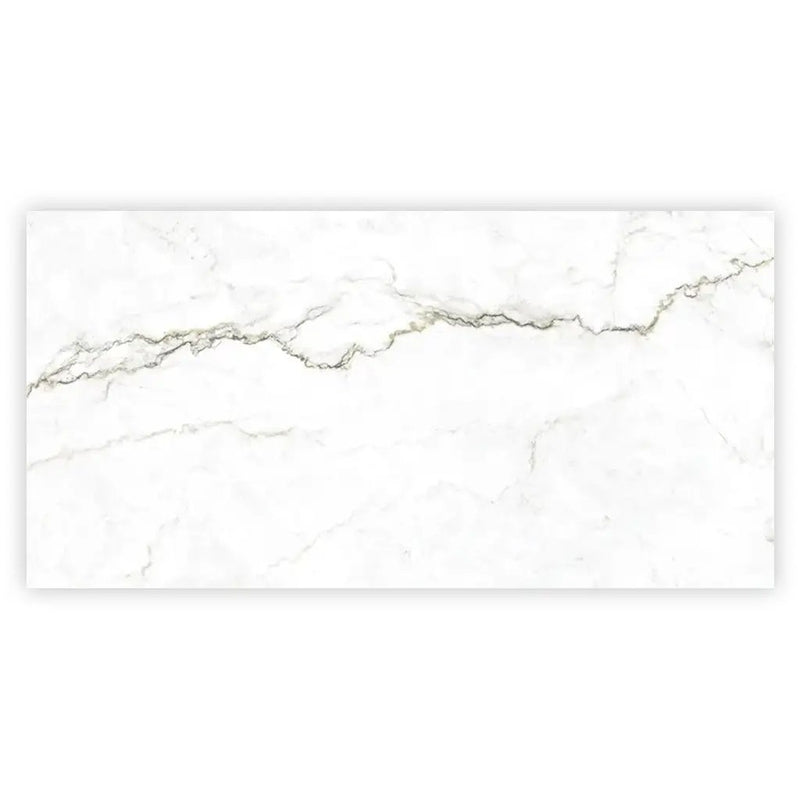 Pearl White with Gray Vein 24x48 Matte Porcelain Large Format Tile (2 pack, 15.5 sq ft/case) by Apollo Tile