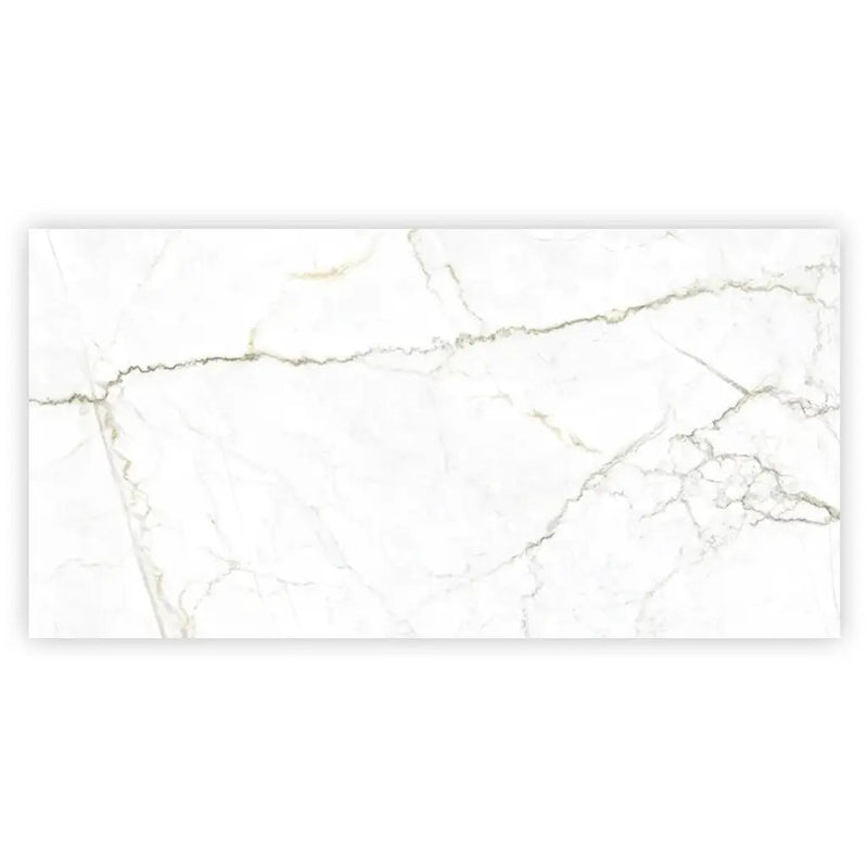 Pearl White with Gray Vein 24x48 Matte Porcelain Large Format Tile (2 pack, 15.5 sq ft/case) by Apollo Tile