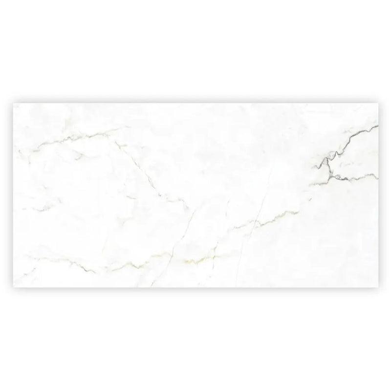 Pearl White with Gray Vein 24x48 Matte Porcelain Large Format Tile (2 pack, 15.5 sq ft/case) by Apollo Tile