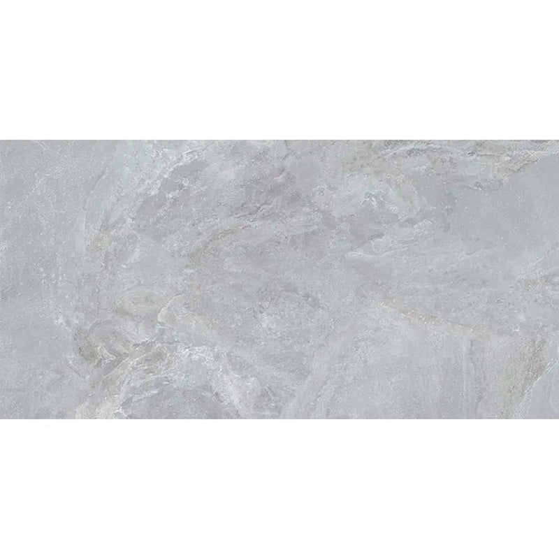 Gray 24x48 Matte Porcelain Large Format Tile (2 pack, 15.55 sq ft/case) by Apollo Tile