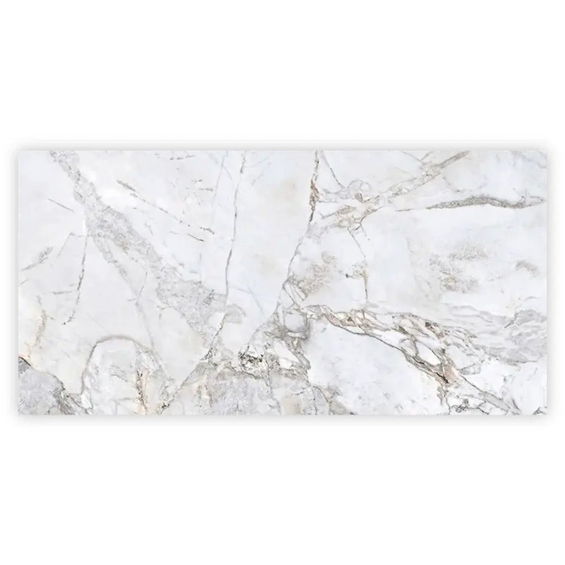 Pale Gray 24x48 Polished Porcelain Large Format Tile (2 pack, 15.5 sq ft/case) by Apollo Tile