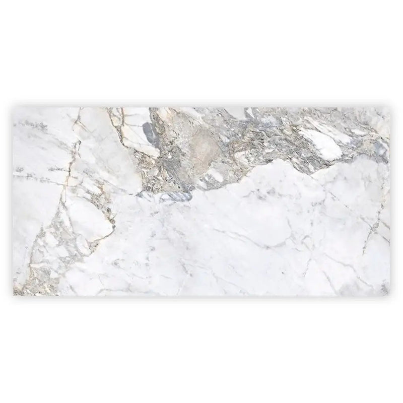 Pale Gray 24x48 Polished Porcelain Large Format Tile (2 pack, 15.5 sq ft/case) by Apollo Tile