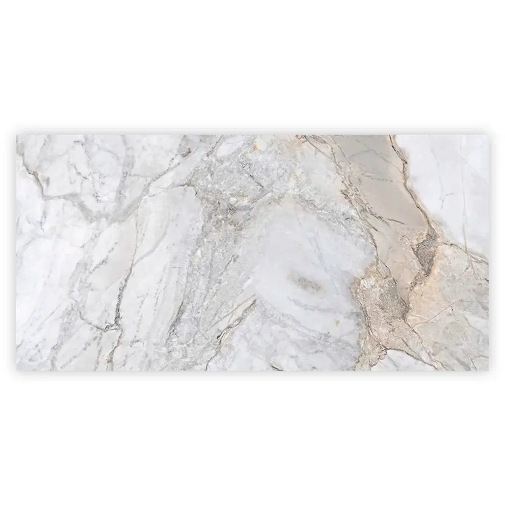 Pale Gray 24x48 Polished Porcelain Large Format Tile (2 pack, 15.5 sq ft/case) by Apollo Tile