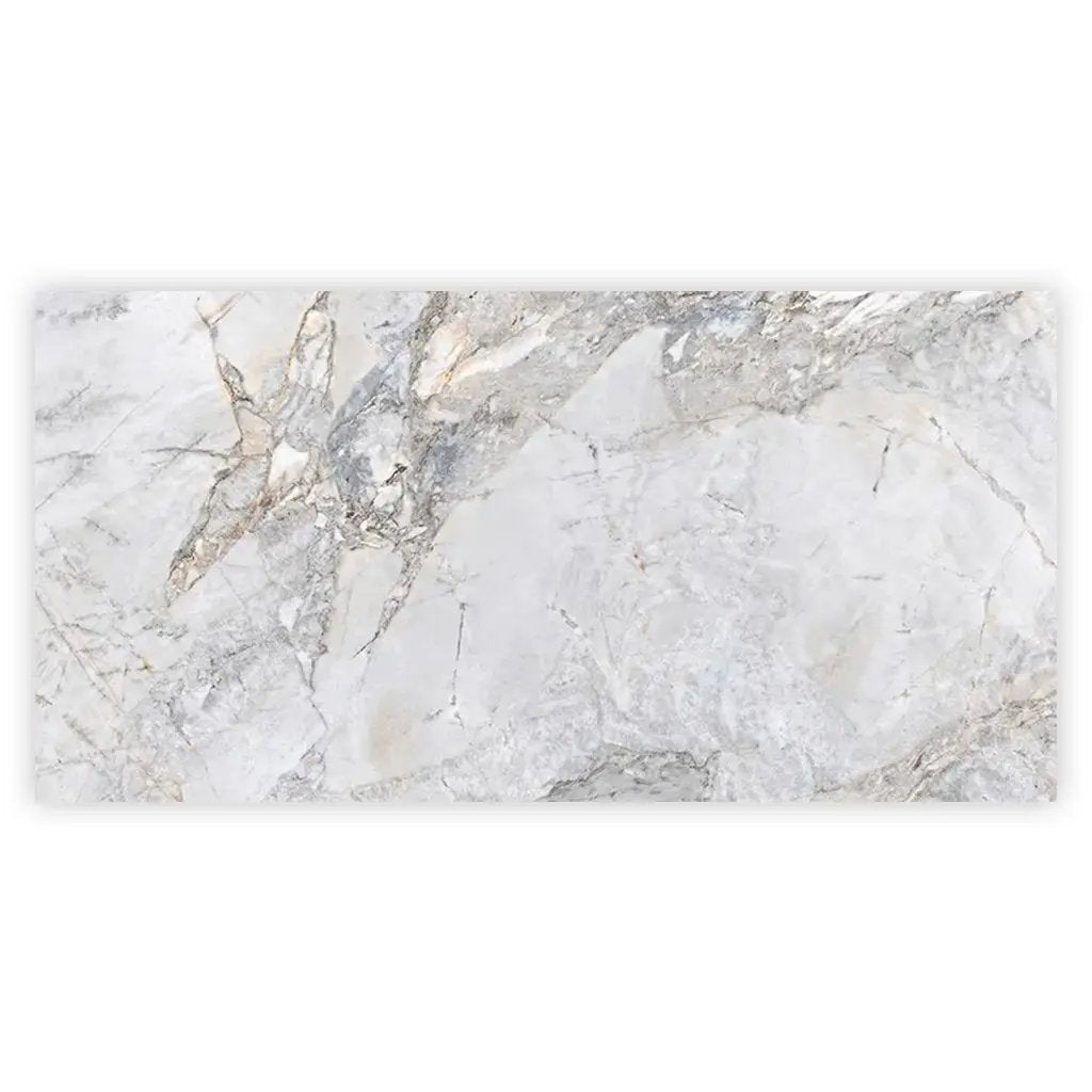 Pale Gray 24x48 Polished Porcelain Large Format Tile (2 pack, 15.5 sq ft/case) by Apollo Tile