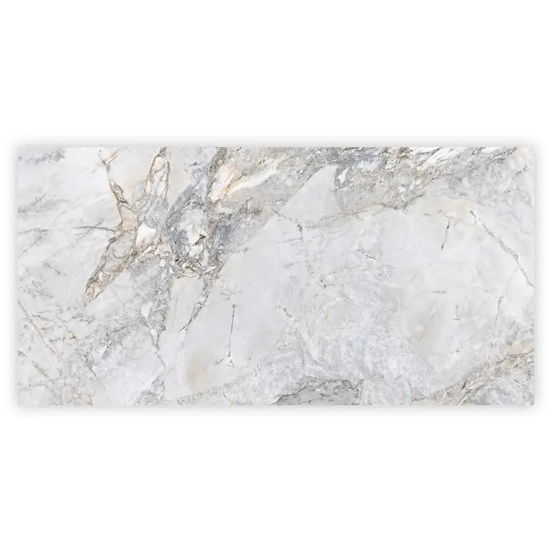 Pale Gray 24x48 Polished Porcelain Large Format Tile (2 pack, 15.5 sq ft/case) by Apollo Tile