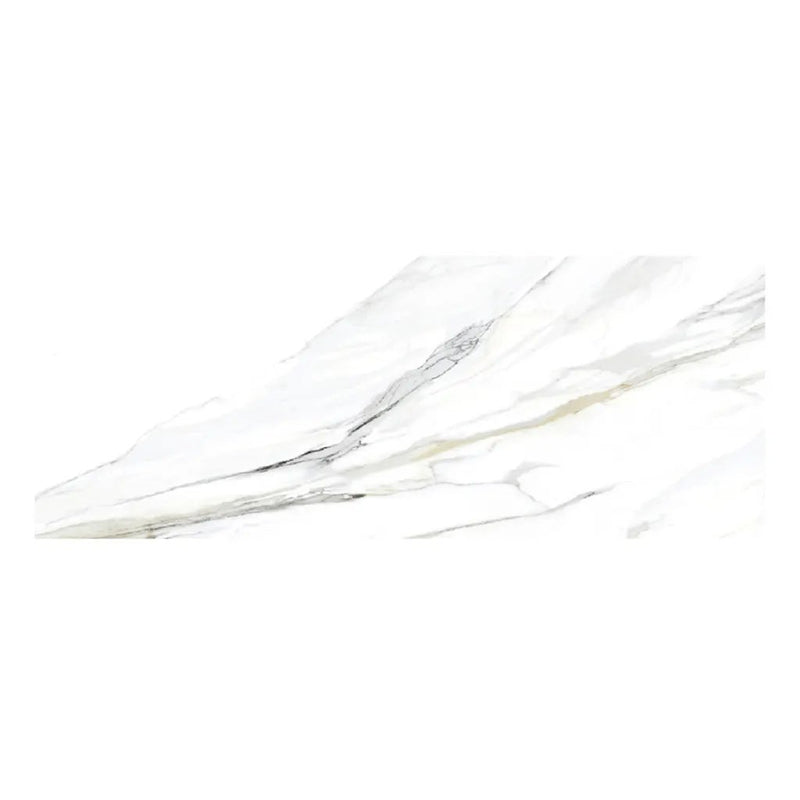 White 24x48 Matte Field Porcelain Tile (2 pack, 15.48 sq ft/case) by Apollo Tile