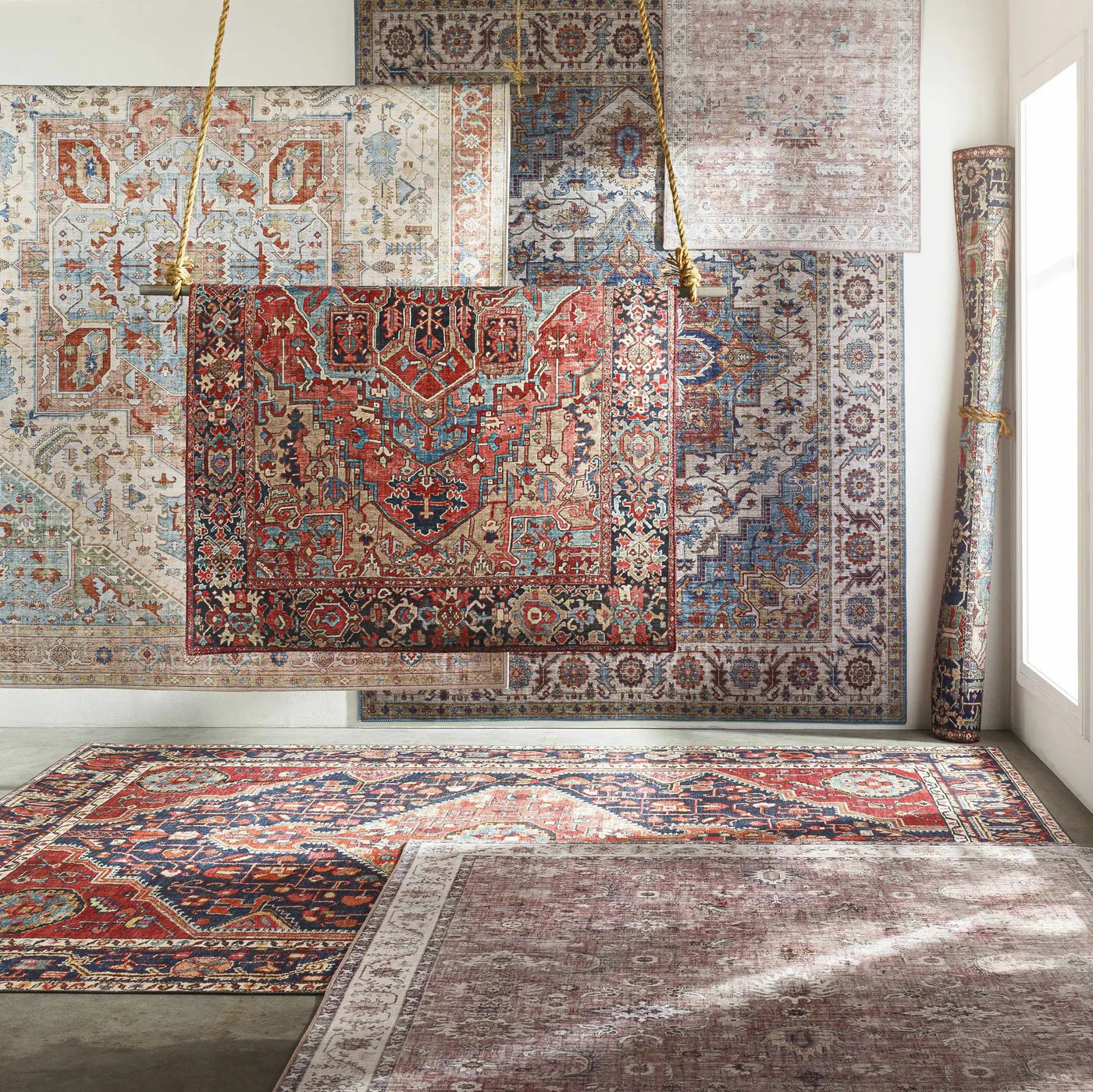 Kapaa Traditional Area Rug by Boutique Rugs