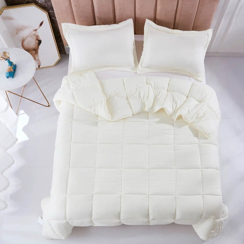 Queen Size Off White 3 Piece Microfiber Reversible Comforter Set by HomePacific