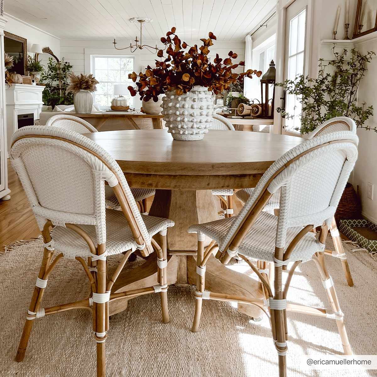 Iantha Jute Rug by Boutique Rugs