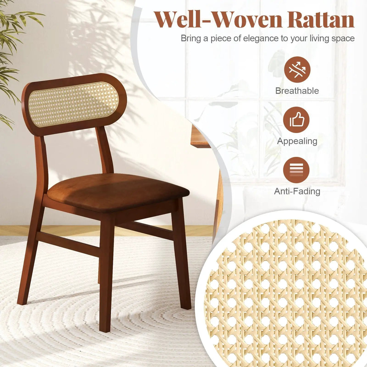Indoor Mid Century Wood Dining Chairs Set of 2 for Dining Room by DirectDeals