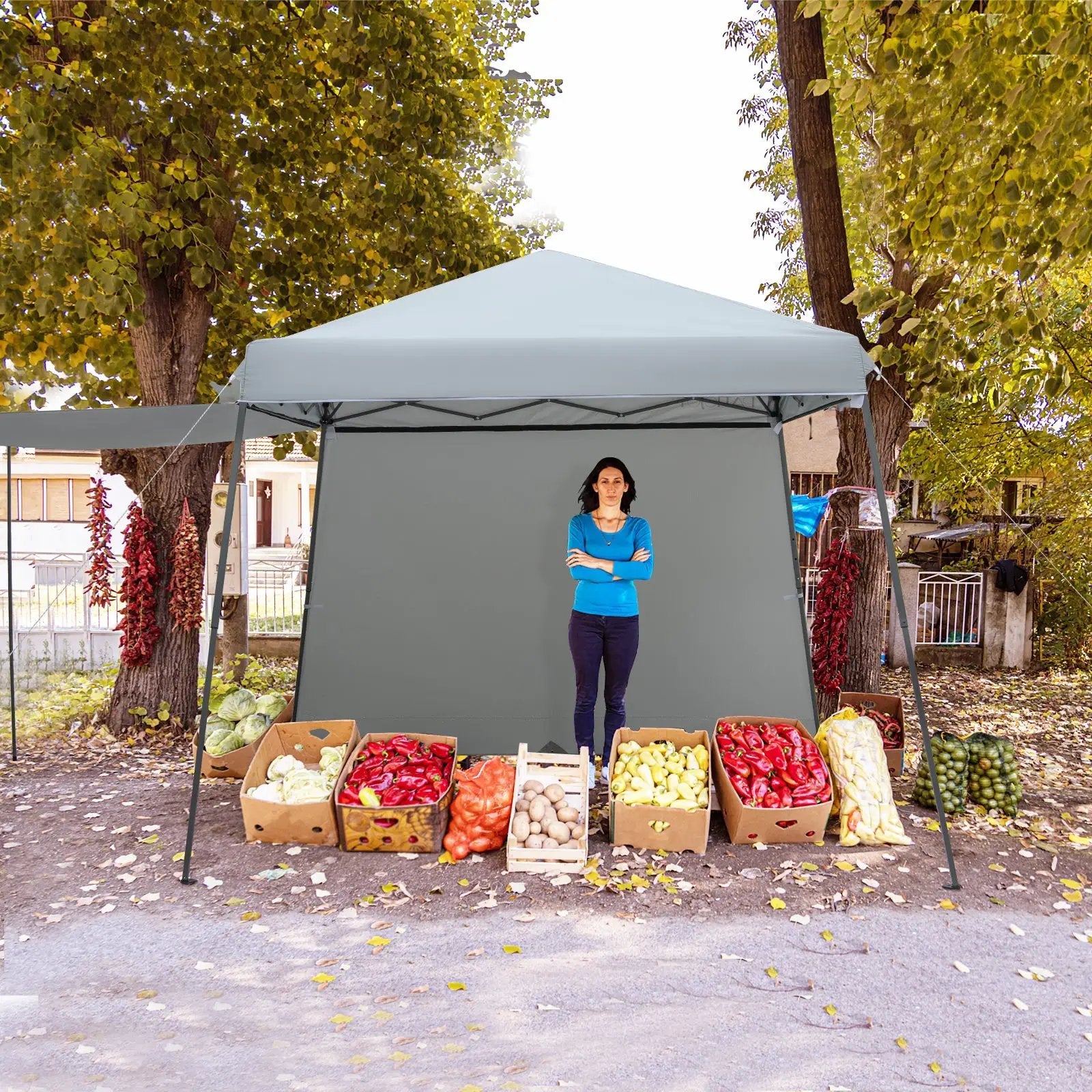 Patio 10x10FT Instant Pop-up Canopy Folding Tent with Sidewalls and Awnings Outdoor-Gray by DirectDeals