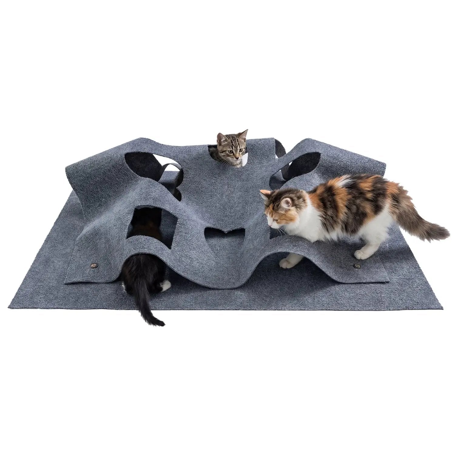 Interactive Foldable Cat Tunnel for Indoor Cats by DirectDeals