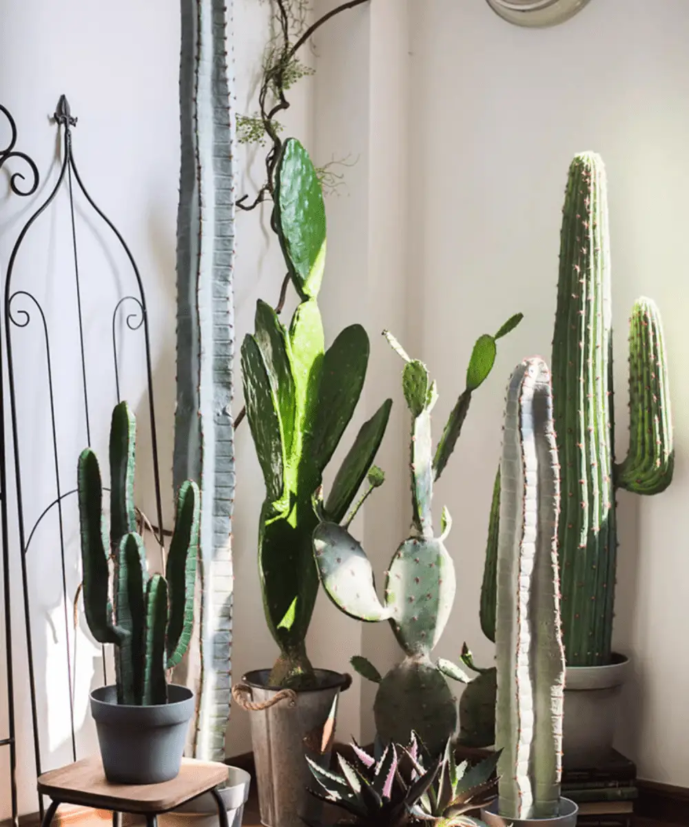 Artificial Cactus in Pot Various Styles by RusticReach