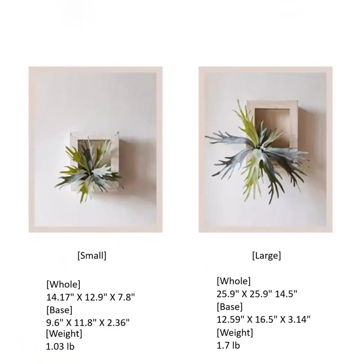 Artificial Antler Fern with Wooden Frame by RusticReach
