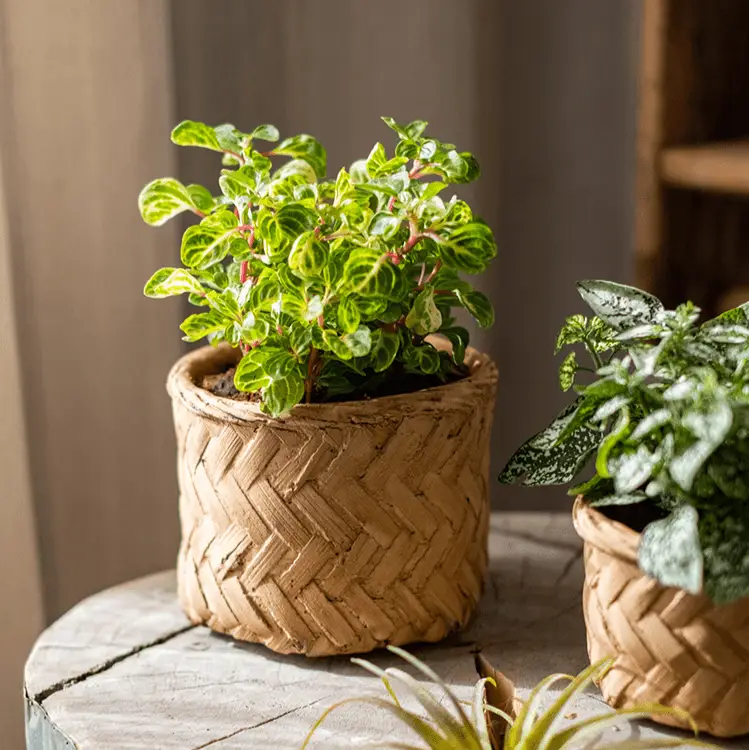 Bamboo Looking Cement Planter by RusticReach
