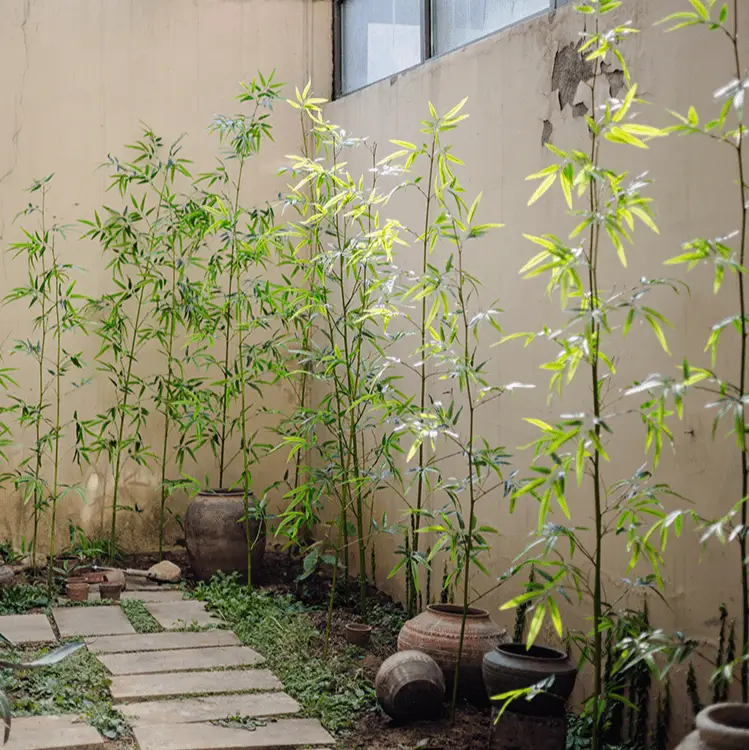 Artificial Bamboo Stem Faux Screen Plant Set of 10 by RusticReach