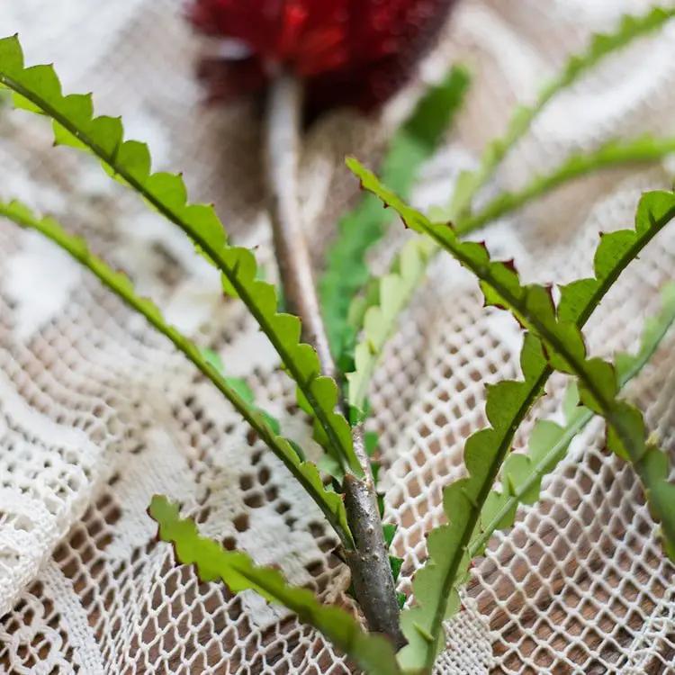 Faux Banksia Integrifolia Faux Flower 28" Tall Silk by RusticReach