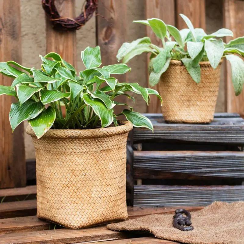 Basket Style Concrete Planter by RusticReach
