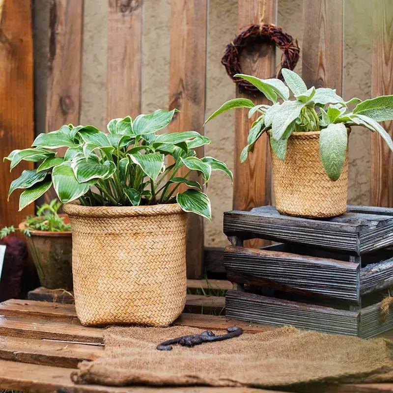 Basket Style Concrete Planter by RusticReach