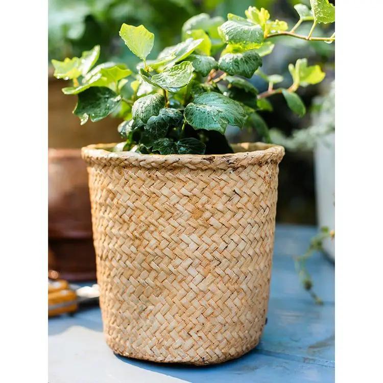 Basket Style Concrete Planter by RusticReach