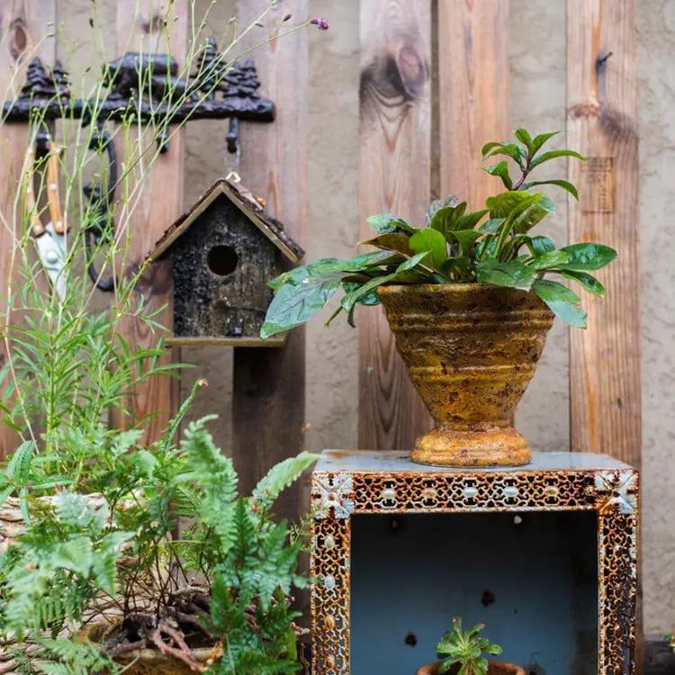 Birch Wood Decorative Bird House by RusticReach