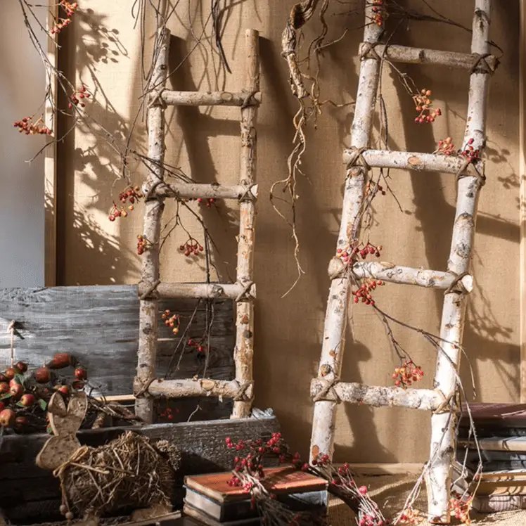White Birch Wood Decorative Ladder by RusticReach