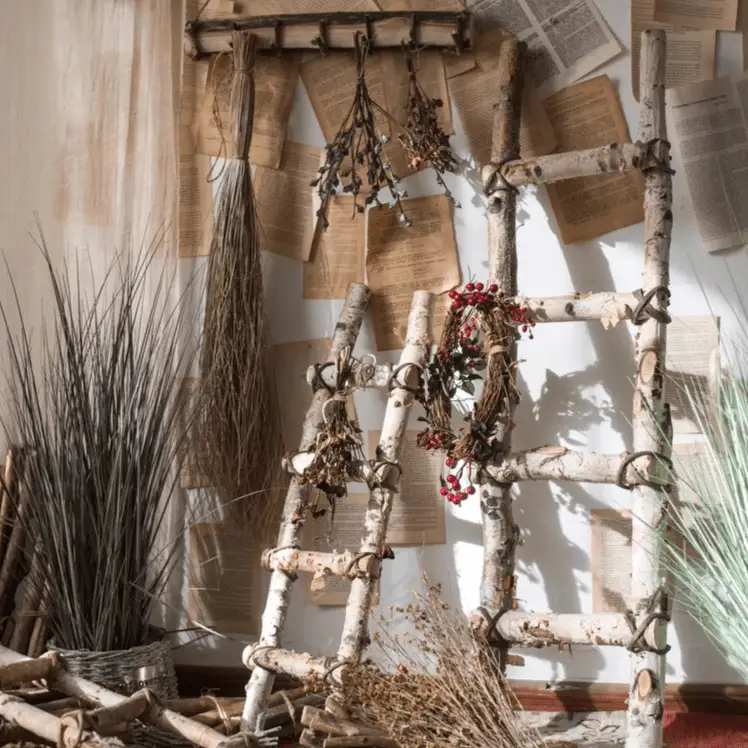 White Birch Wood Decorative Ladder by RusticReach