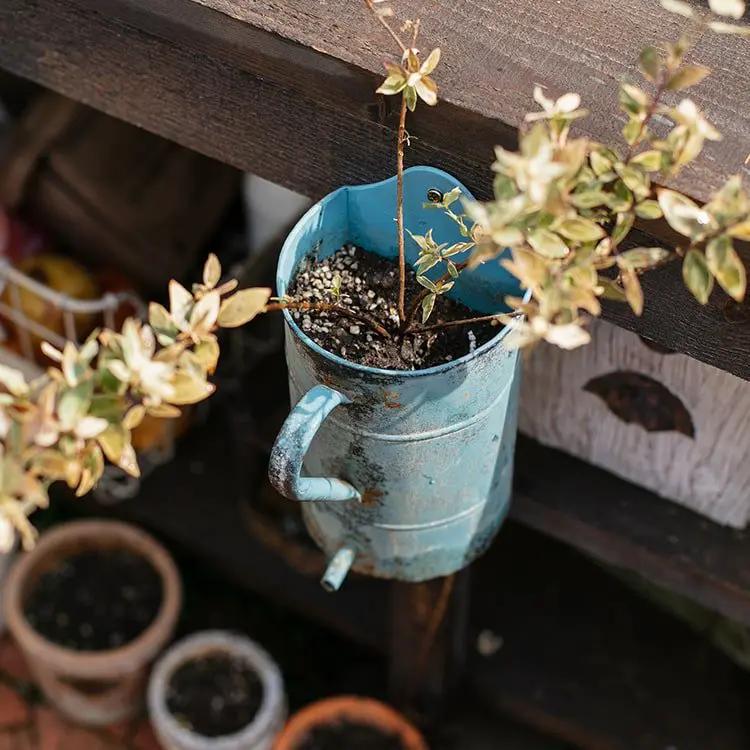 Rustic Blue Iron Flower Pot with Handle by RusticReach