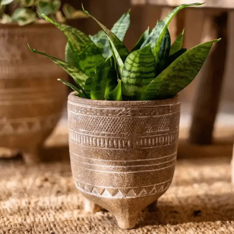 Bohemian Red Clay Planter by RusticReach