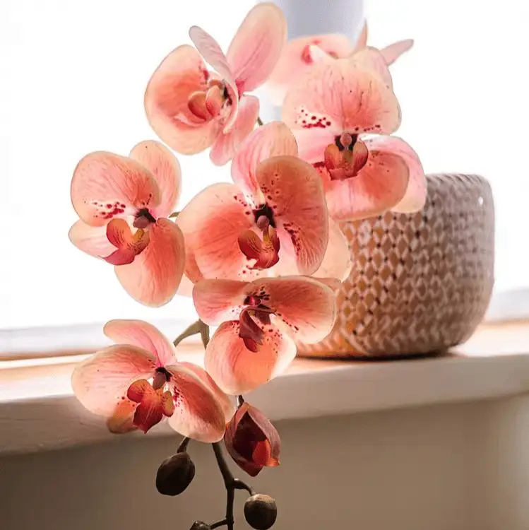 Artificial Butterfly Orchid Stem in Pink 27.5" Tall by RusticReach