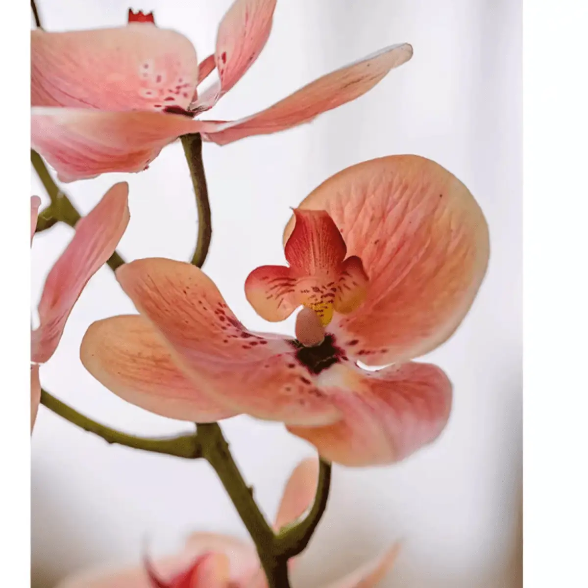 Artificial Butterfly Orchid Stem in Pink 27.5" Tall by RusticReach