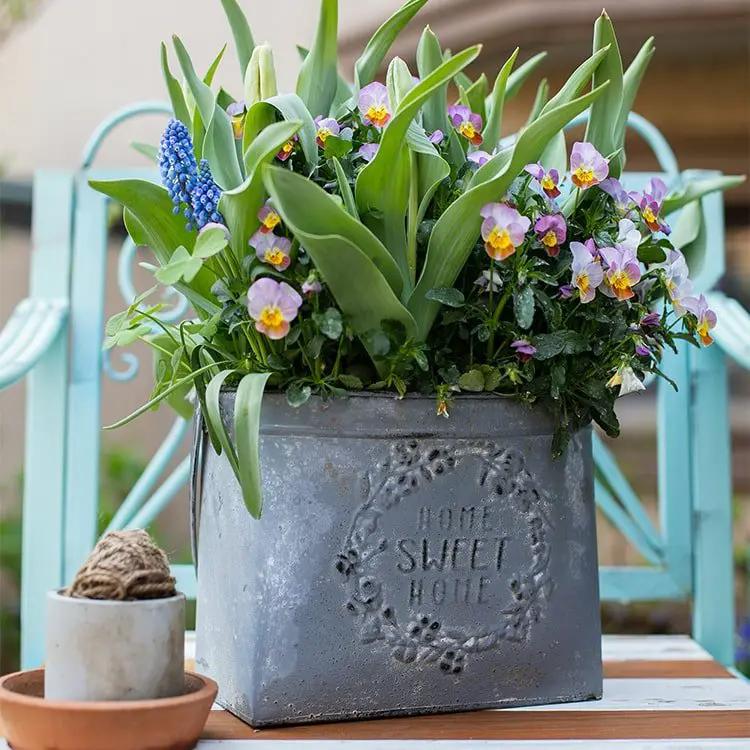Iron Carry Flower Pot Gray Sweet Home by RusticReach