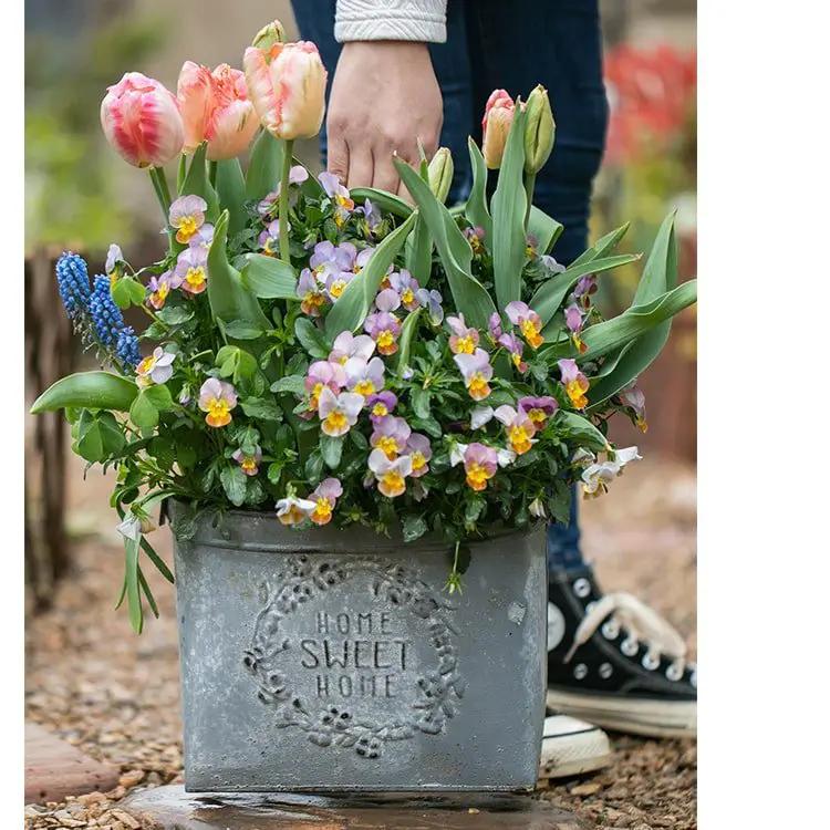Iron Carry Flower Pot Gray Sweet Home by RusticReach