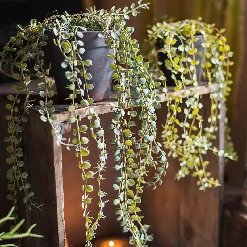 Hanging Faux Ceropegia Vine in Pot by RusticReach