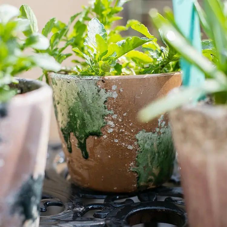 Colorful Terracotta Pot by RusticReach