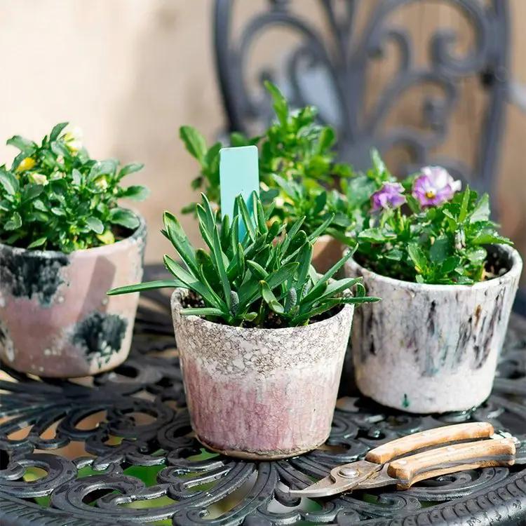 Colorful Terracotta Pot by RusticReach