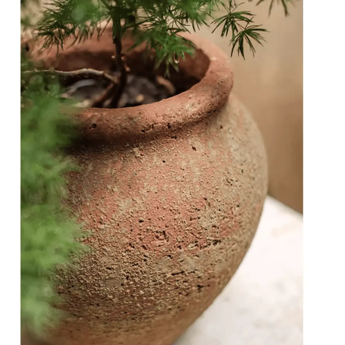 Distressed Cement Plant Pot by RusticReach