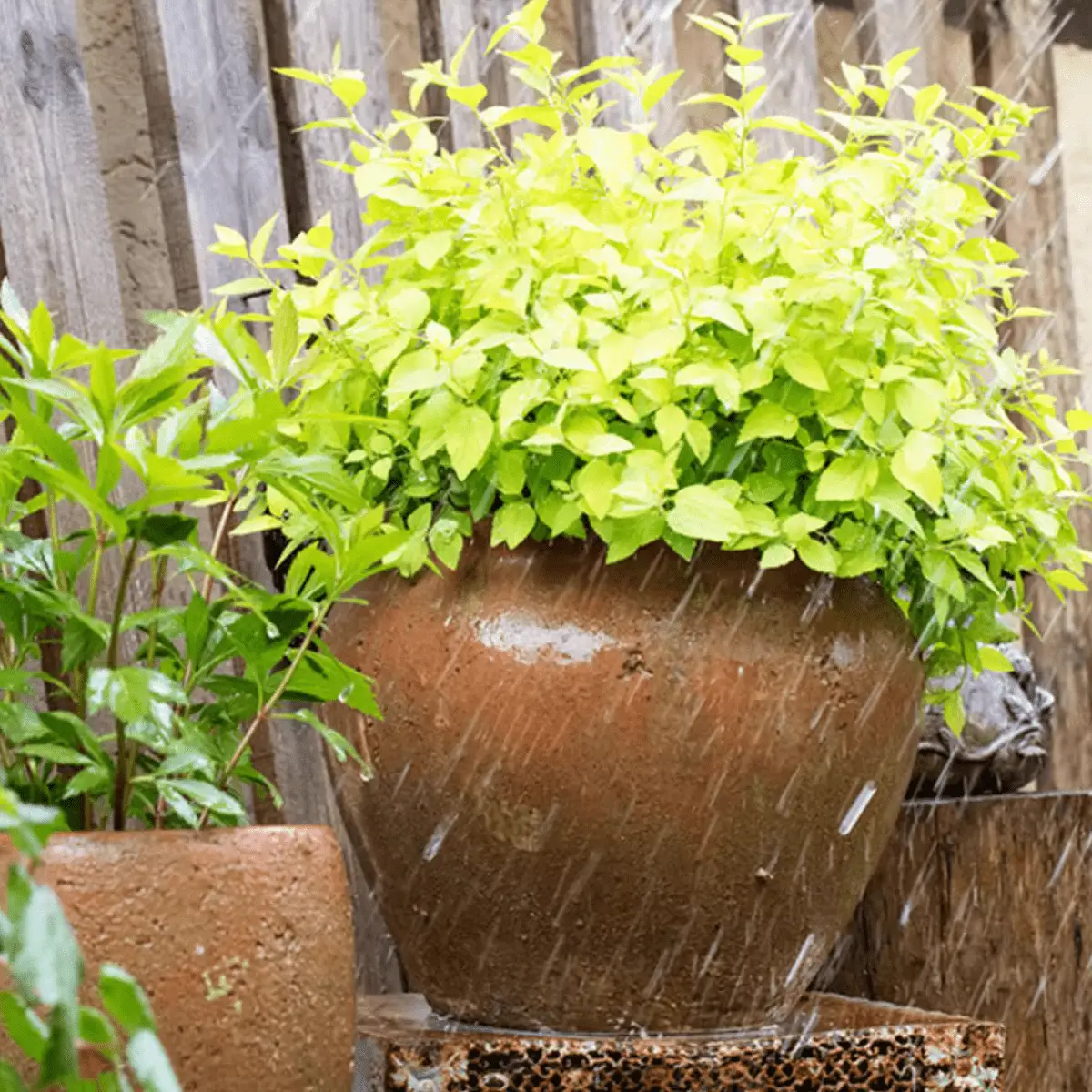 Distressed Cement Plant Pot by RusticReach