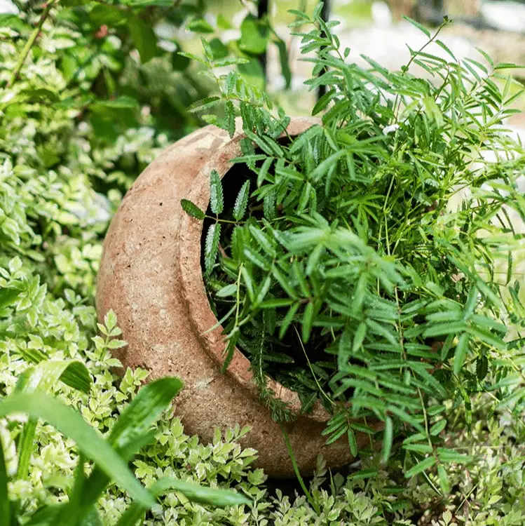 Distressed Cement Plant Pot by RusticReach