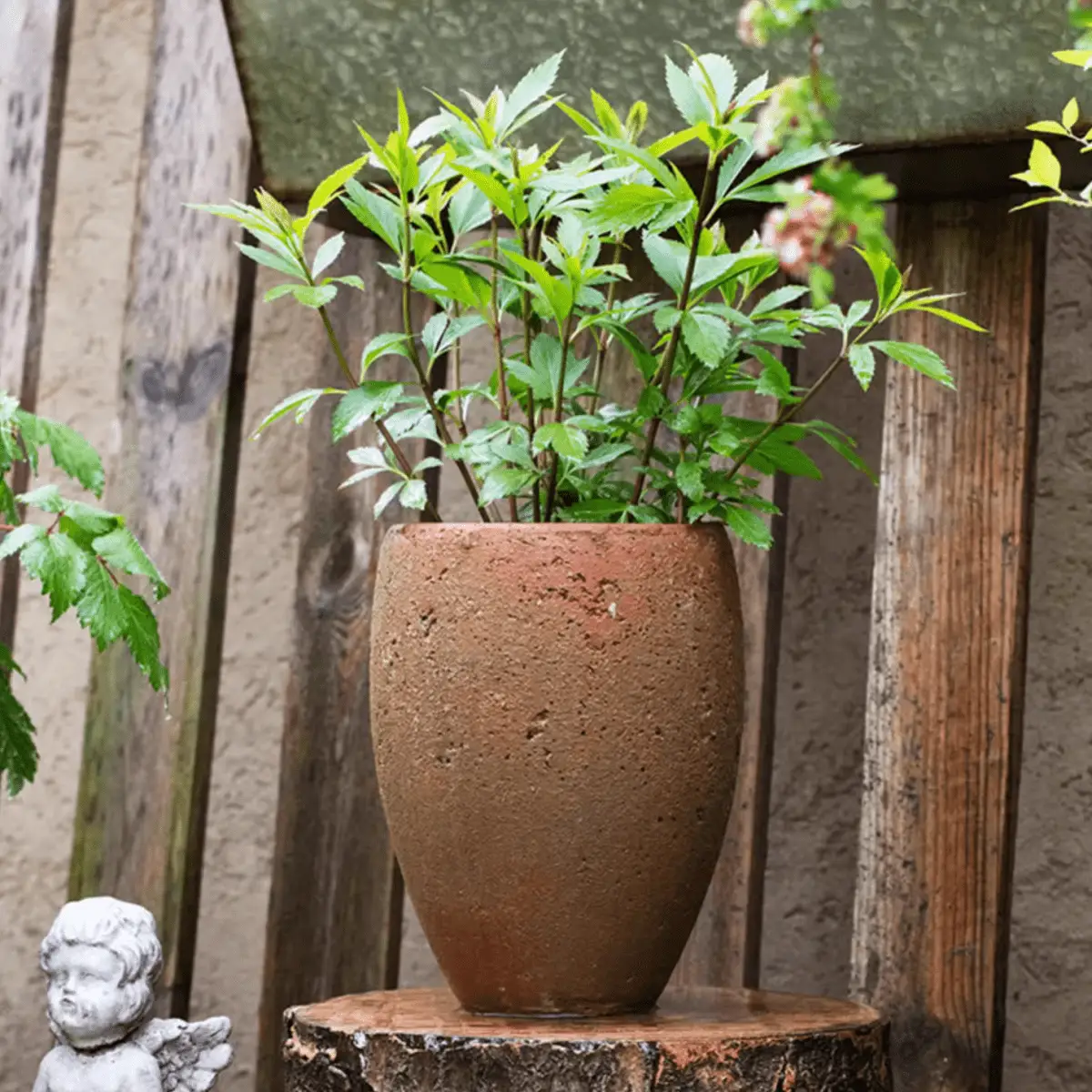 Distressed Cement Plant Pot Tall by RusticReach