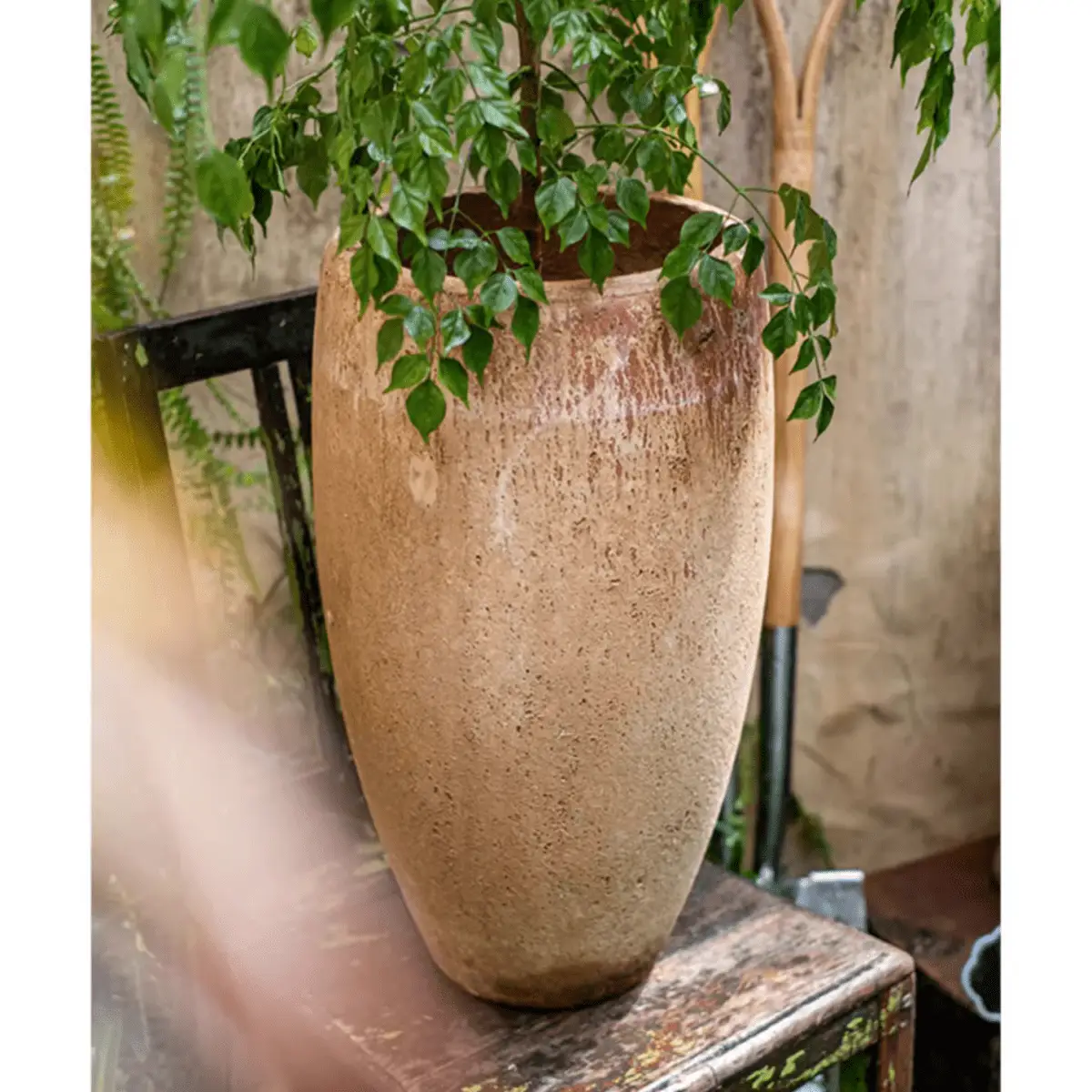 Distressed Cement Plant Pot Tall by RusticReach
