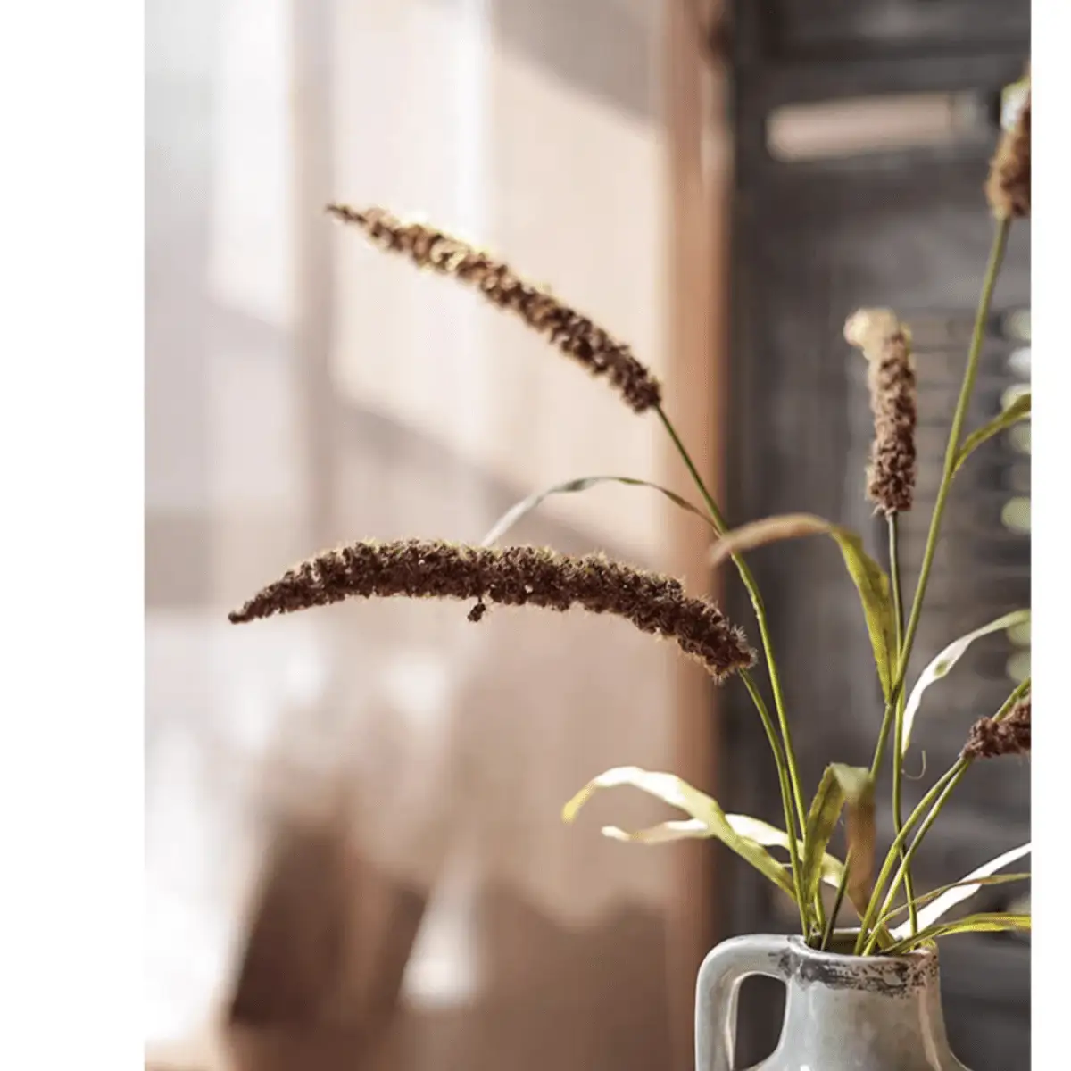 Three-Headed Dogtail Grass Stem 39" Tall by RusticReach