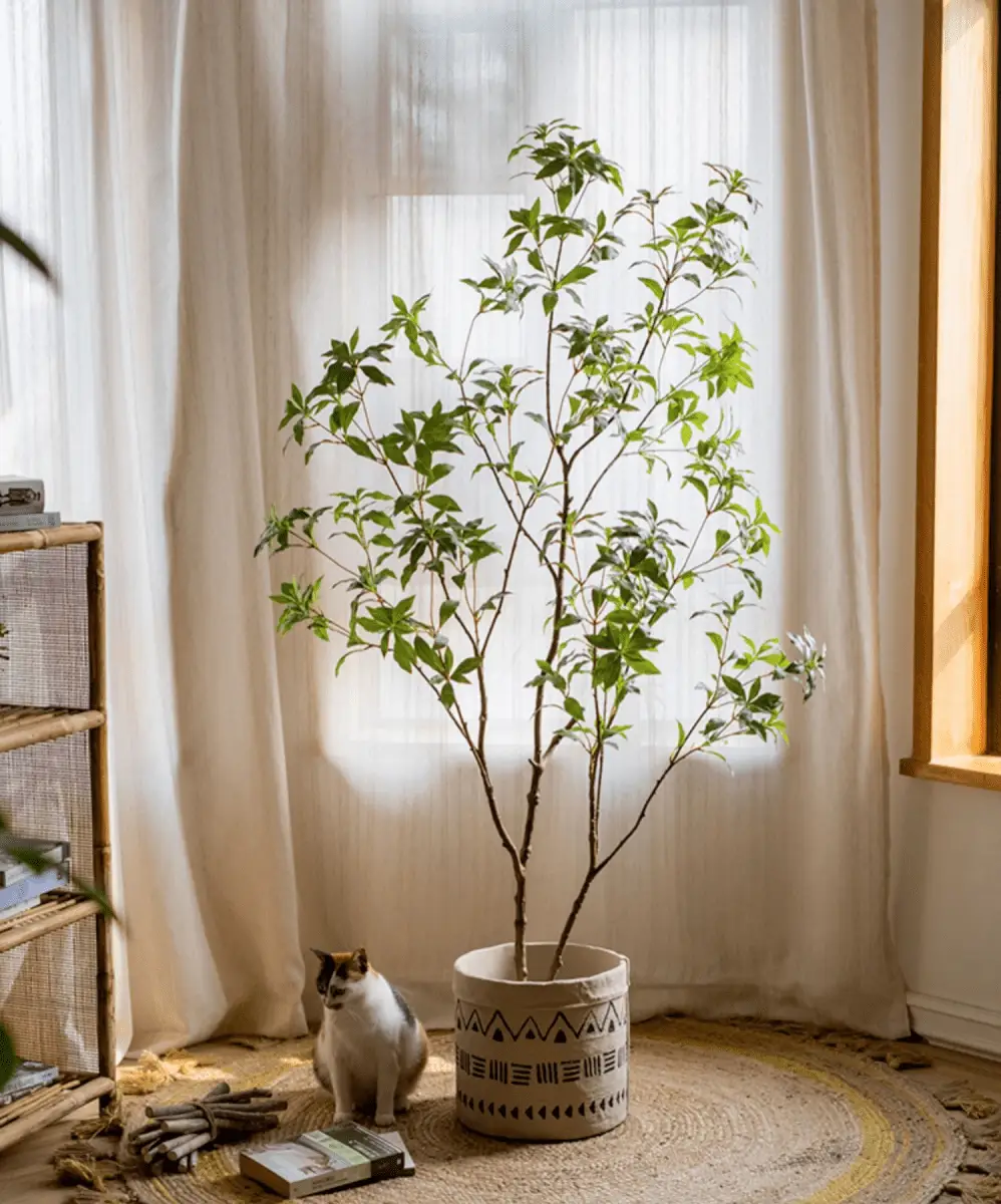 Artificial Japanese Enkianthus Tree Faux by RusticReach