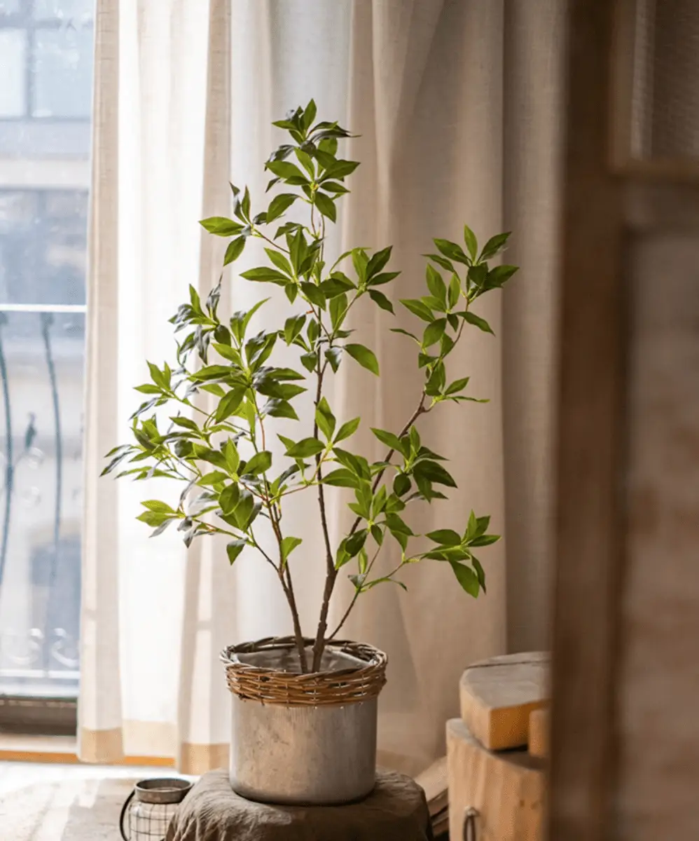 Artificial Japanese Enkianthus Tree Faux by RusticReach