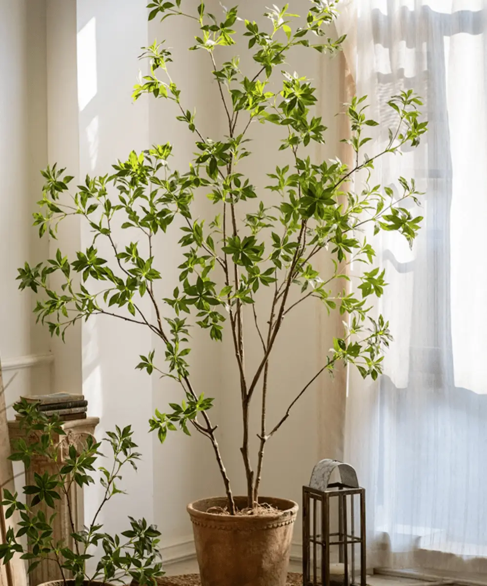 Artificial Japanese Enkianthus Tree Faux by RusticReach