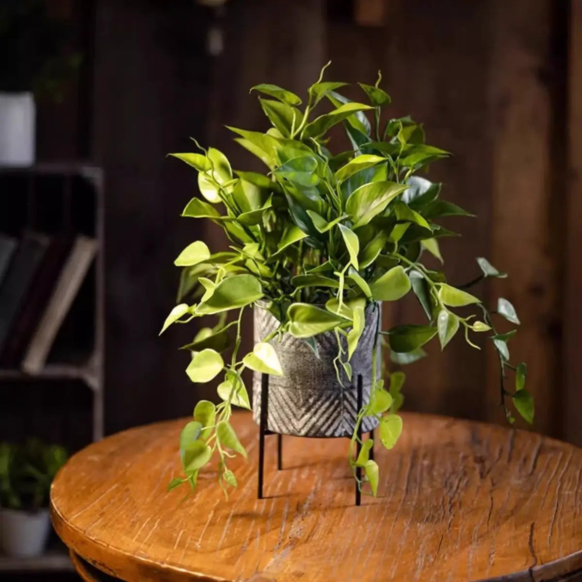 Faux Epipremnum in Metal Pot by RusticReach