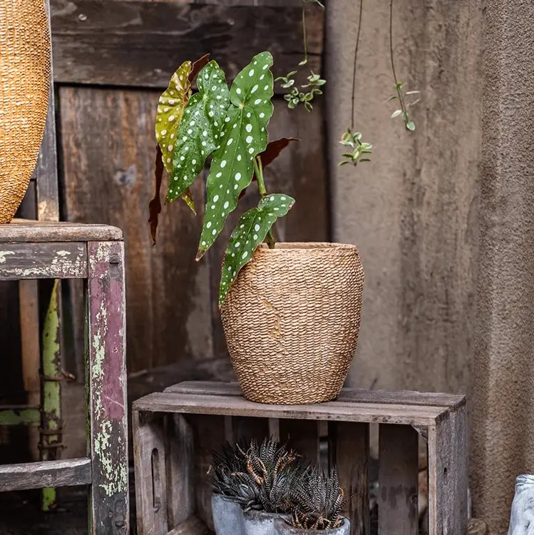 Faux Grass-Woven Cement Planter by RusticReach