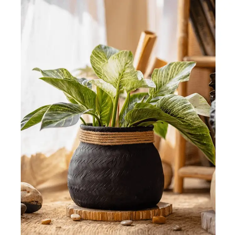 Faux Bamboo Woven Cement Planter by RusticReach